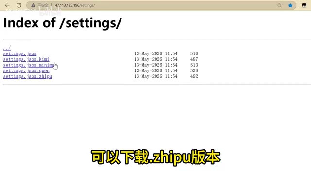 settings.json download tips