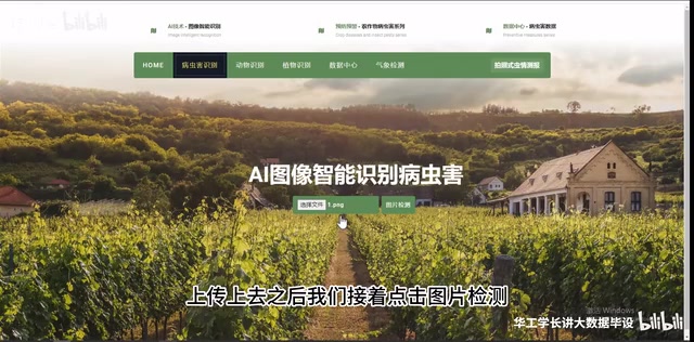 AI农作物病虫害预警系统毕设:RAG+Agent实战方案详解