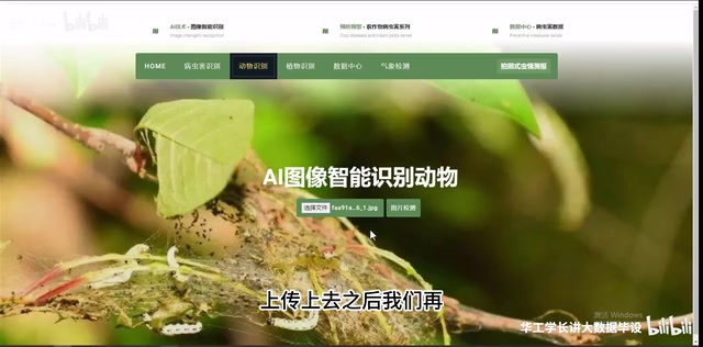 动物图片检测结果
