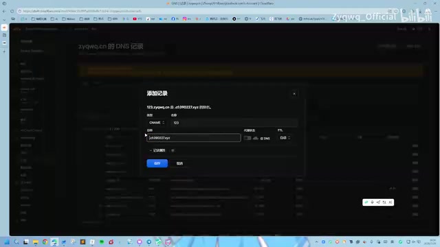 完成DNS配置