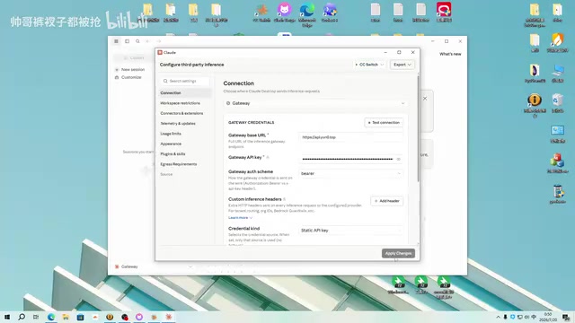 CCswitch auto-populated configuration fields