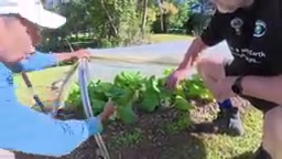 Growing Vegetables with Wood Chips: A High-Yield Mulching Method Without Composting