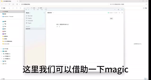 先退出Codex再进行汉化