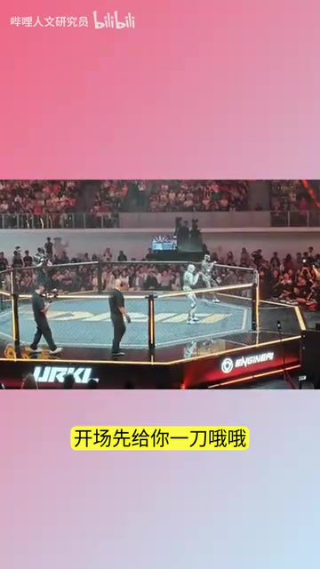 World Humanoid Robot Fighting Championship: China's ZQ Robotics Stuns the Globe with Technical Prowess
