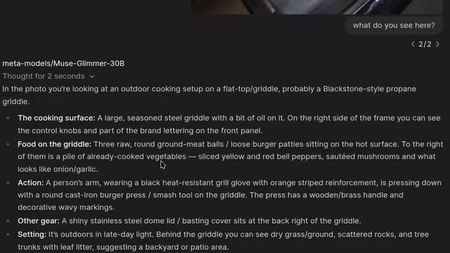 Vegetable identification in outdoor barbecue scene