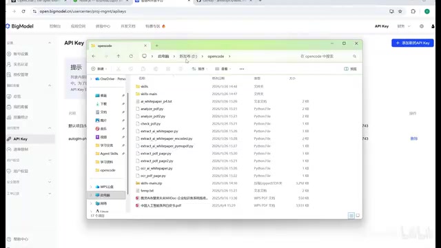 OpenCode配置模型API Key
