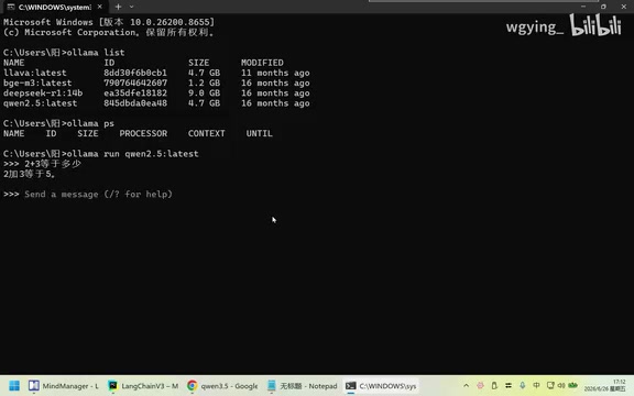 Model running completely locally