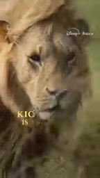 He's about to learn what it takes, a real king.