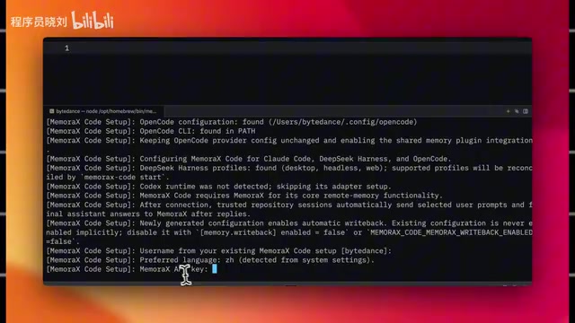 Project-scoped API Key