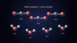 Carbon-oxygen and hydrogen-oxygen bonds are extraordinarily stable — which is why gasoline combustion is so highly exothermic