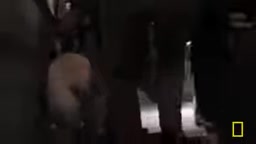 幸存者的重逢