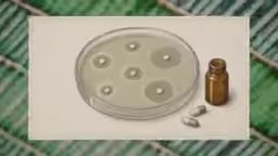把生物学视为信息是关键突破