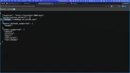 The demo shows MCP Inspector automatically discovering the authorization server