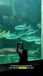 Even top-tier aquariums cannot meet animals' needs