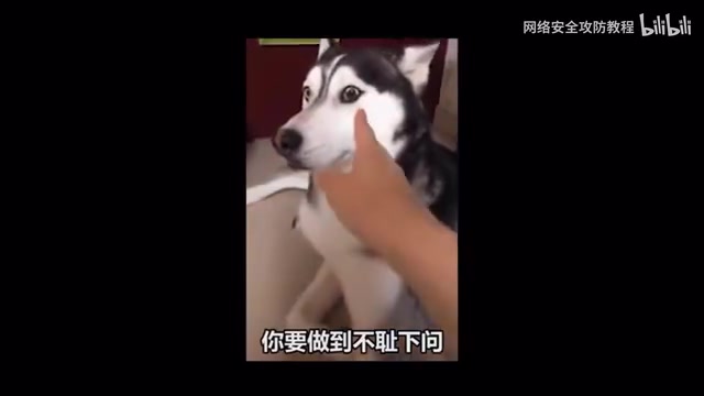 你要做到不吃瞎问