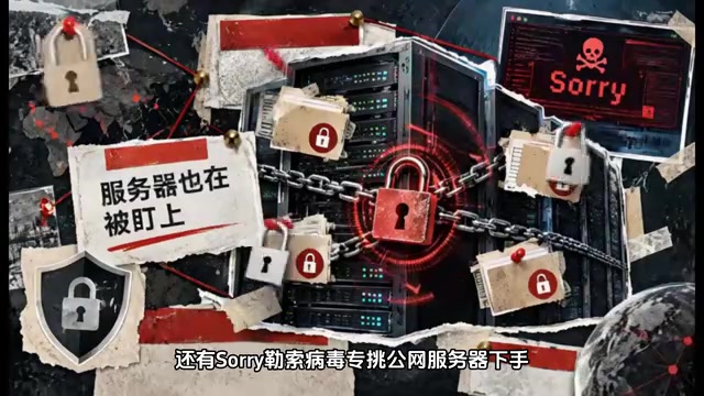 专挑公网服务器下手