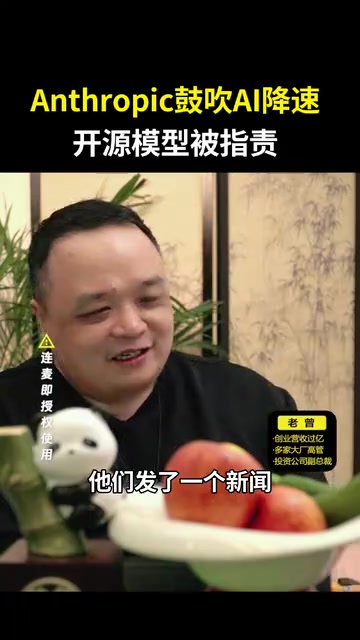 说中国的DeepSeek