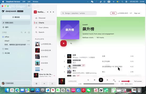 DeepSeek Harness 网易云插件实测:让 Vibe Coding 更有氛围