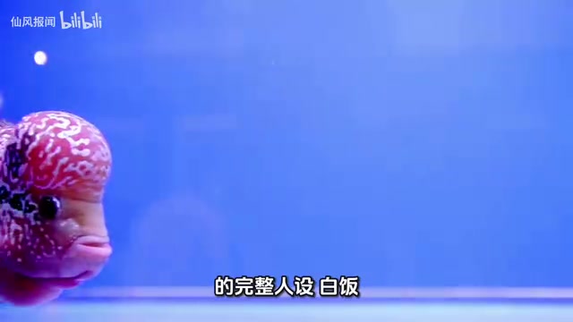 就是调侃他运行时消耗的海量token资源