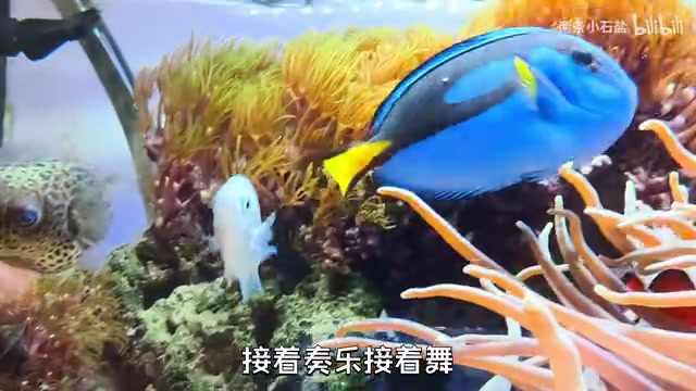 又到了开饭时间