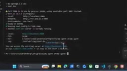 Opening the local Agent in a browser