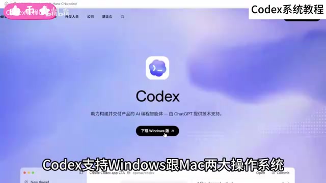 官网会根据你的操作系统