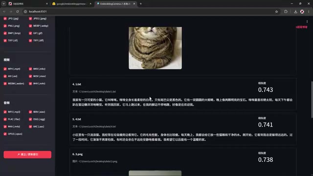 Google EmbeddingGemma 2 Local Deployment Guide: Four-Modality AI Search in Practice