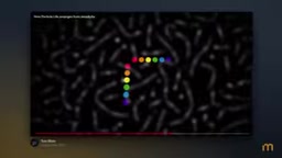 Particle interactions in the Particle Life simulator
