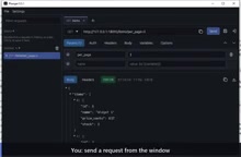 Plunger: A Lightweight Native API Tool for You and Your AI Agent