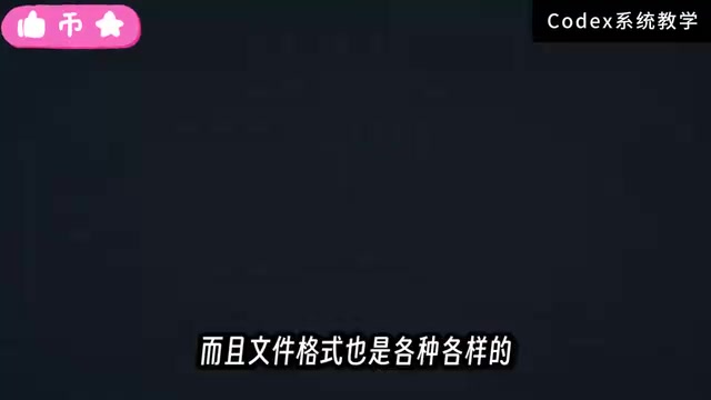 Codex读取各类文件格式