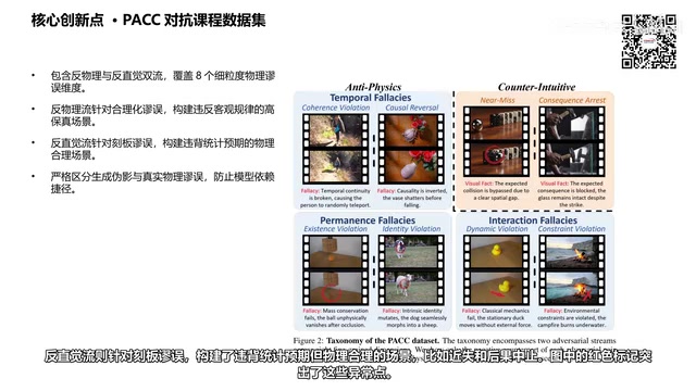 PACC分类体系与异常标注