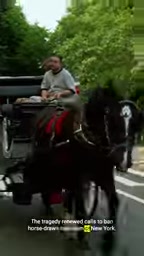 The Transport Workers Union, which represents the horse carriage industry,