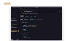 Plunger: See Exactly What Your AI Agent Is Sending to APIs