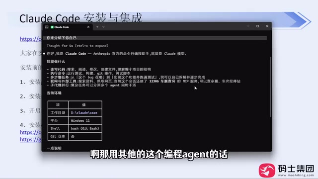 Prompt interaction for a programming agent