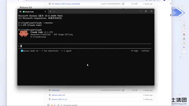 ccswitch configuration interface example