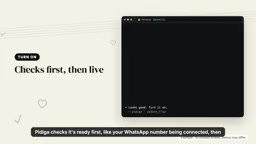 Pidiga在上线前检查WhatsApp号码连接状态