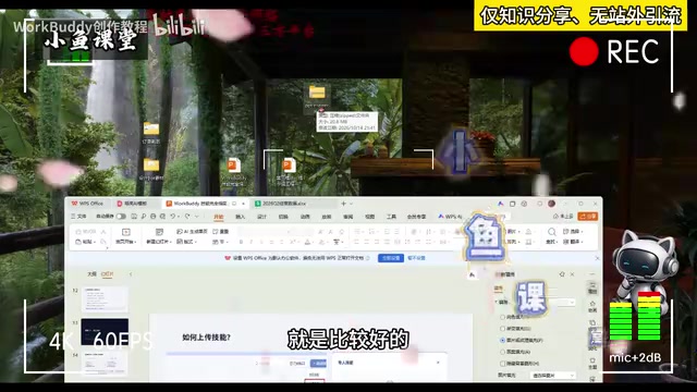 Uploading a local skill package