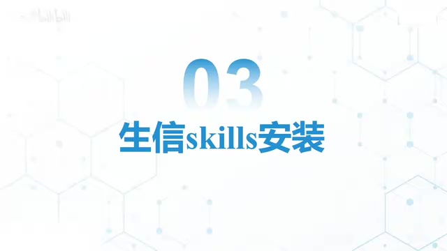 How to install Skills