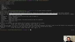 Flutter项目中加载Whistle模型的核心配置