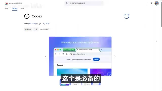 Codex settings interface