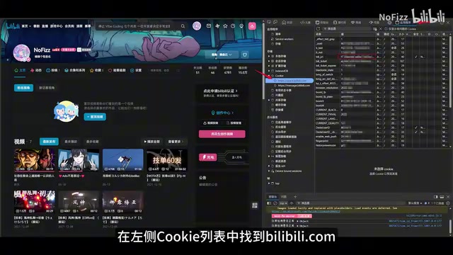 Obtaining cookie parameters in Developer Tools