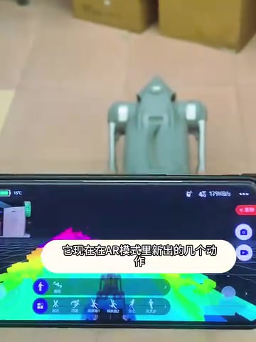 Unitree Go2 Quadruped Robot Hands-On: New Cross-Step and Handstand Features