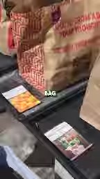 纸袋种土豆:3个月收获够全家四口吃