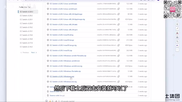安装步骤示意