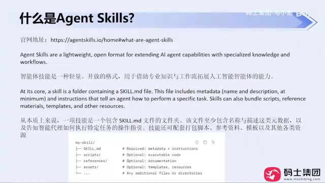 课程截图:理解Skills的定位