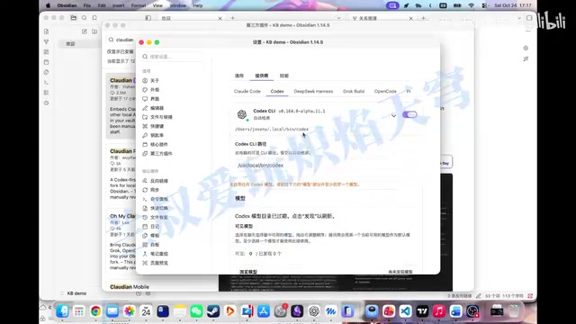 你需要在这里配置你自己的Codex命令行路径