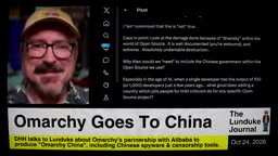 Screenshot of critics discussing the controversy over diversity in open-source projects