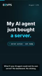 AI Agents Buying Their Own Servers: The Automation Revolution of MCP and VPS