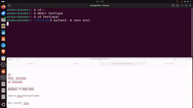 Creating a Python virtual environment to isolate the test environment