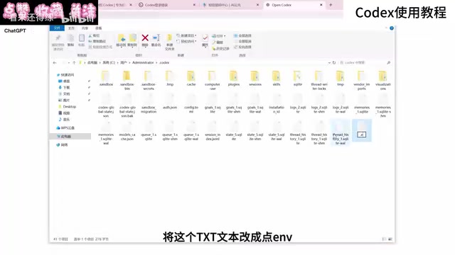 然后重新启动codex就可以了